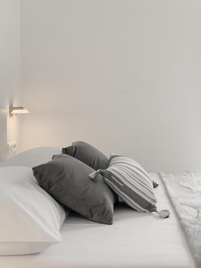 Apartament Paladin *